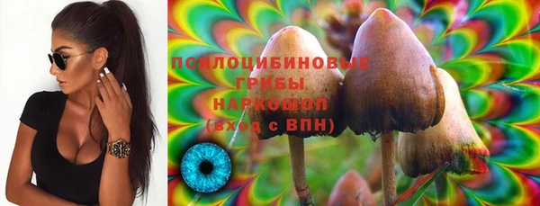 дживик Медногорск