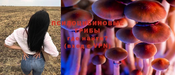 дживик Медногорск