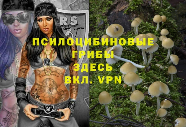 мяу мяу мука Медвежьегорск