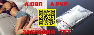 шишки Аргун