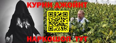 шишки Аргун