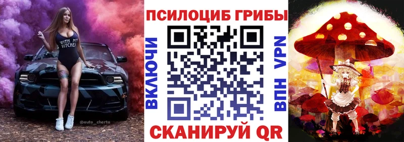 Псилоцибиновые грибы мицелий  Топки 