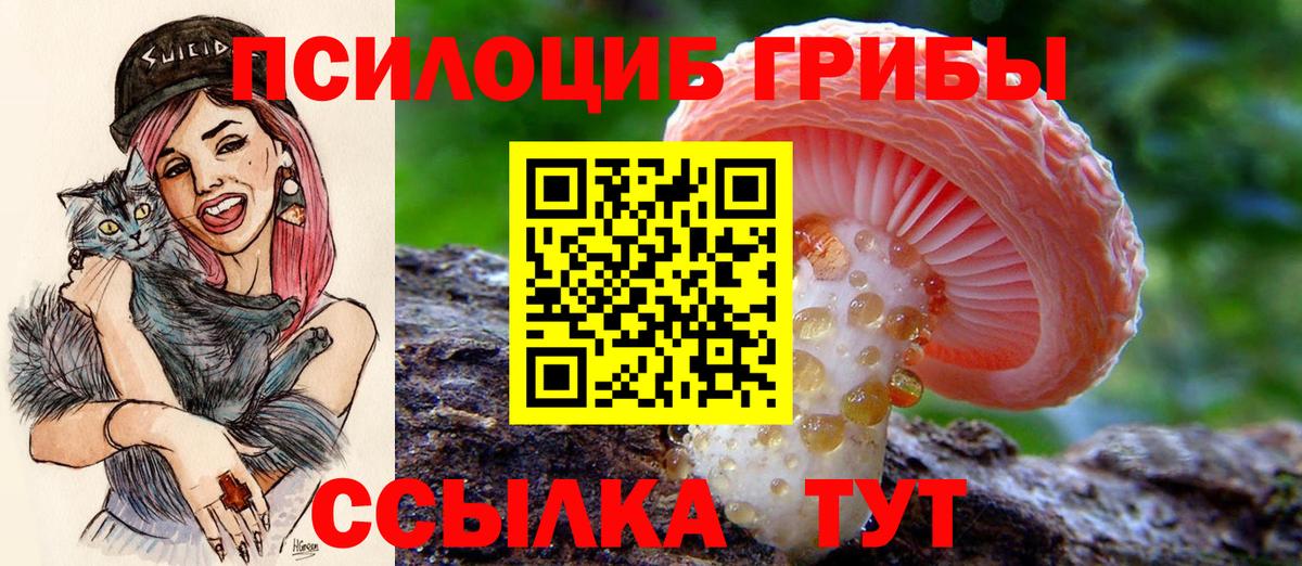 Галлюциногенные грибы GOLDEN TEACHER Топки