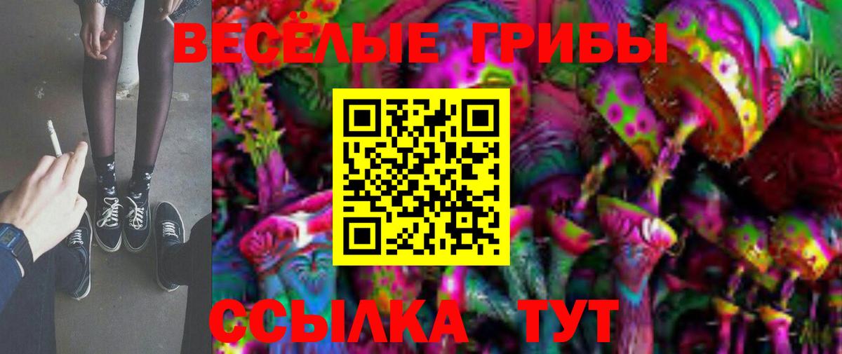Псилоцибиновые грибы GOLDEN TEACHER  Топки 