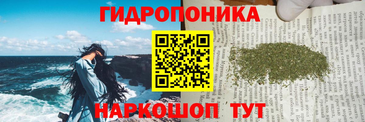 Марихуана семена  Бошки марихуана LSD WEED  Топки  Вход с VPN  Марихуана White Widow  МАРИХУАНА White Widow 